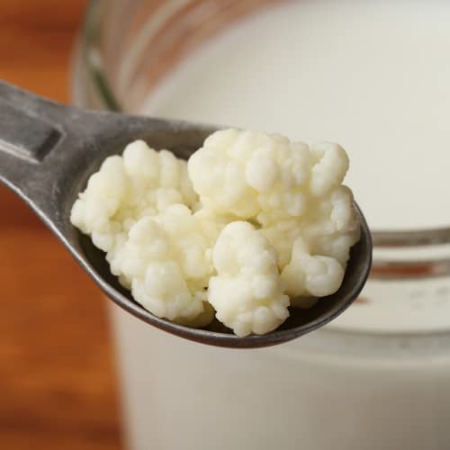 Good Gut Tribe - Organic Milk Kefir Grains (5g)