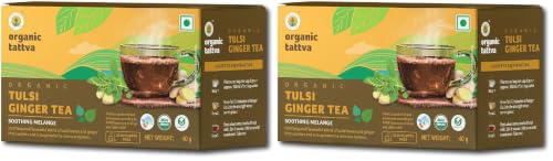 Image of Organic Tattva Green Tea Tulsi Ginger, 20 Tea Bags | Herbal Infusion for Daily Refreshment, Immunity Support, and Soothing Warm Beverage (Pack of 2)