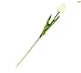 10pcs Wholesale Tulip Flower Latex Real Touch for Wedding Bouquet Decor Best Quality Flowers (KC451 white tulip)