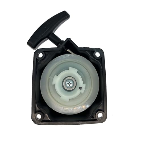 AM - Arrancador para desbrozadora Florabest FBK 4 B2 4 en 1 Demon RQ580 M831189