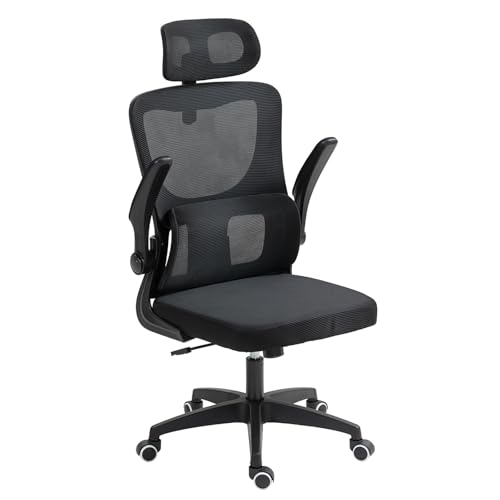 Panana Ergonomic Mesh Office Chair High Back Home Desk Chair with Flip-up Armrest Lumbar Support Swivel Computer Task Chair (Black)