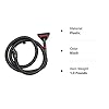 Bissell BigGreen Commercial BG10 Deep Cleaning 2 Motor Extractor Machine & Hose & Upholstery Tool 30G for BG10 Deep Cleaning Machine