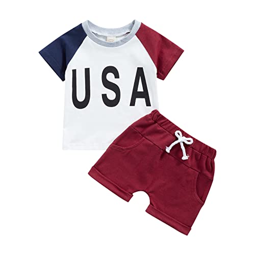 Image of Ledy Champswiin Toddler Boy Clothes Baby Summer Outfit Dinosaur Letter Print Cotton Tops+Grey Elastic Shorts 2pcs