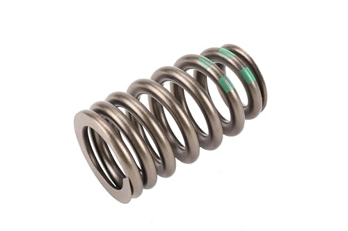 GM Genuine Parts 12728733 Valve Spring
