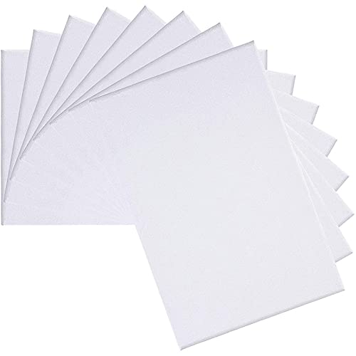 Rouleau Toile de Peinture Coton, Lot de 8 Toiles de Coton Blanches pour Peinture, Toiles d'artiste, Panneaux de Peinture Vierges et créatifs