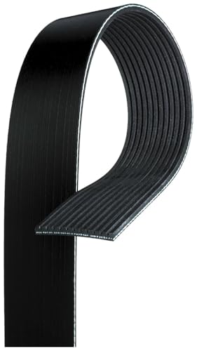 Cinturón serpentino acanalado en V ACDelco 12K858 para alternador y motor