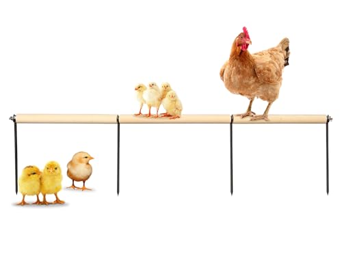 Image of Chicken Coop Accessories, Extra Long Wooden Chicken Roosting Perch with Metal Stakes, Roosting Bars for Chickens in Coop, Chicken Enrichment Toys