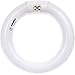 Sunlite 41314-SU FC8T9 Circline FluorescentLamps, 8-Inch Size, 22 Watts, 1050 Lumens, 4-Pin Base (G10q), 10,000 Life Hours, 65K - Daylight