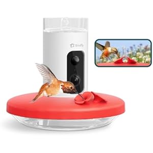 Birdfy Hummingbird Feeder with Camera, Auto Record Bird Video, Instant Notification, Live View, Smart Hummingbird Feeders for Outdoors Hanging, Ant Bee Proof, 14oz, Easy to Clean, Gift for B