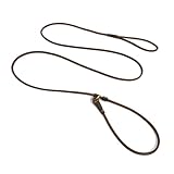 LWBMG Real Leather Slip Lead, Adjustable Dog Training Leash, Soft Genuine Leather for Small Dogs, 5.6 ft x 1/5 inch Brown