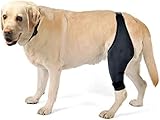 CiCixixi Hunde Kniebandage Hinterbein, Hunde Kniebandage, Hunde Hinterbein Bandage Hunde Klammer Hinterbein Hunde-Kniestütze für Hunde Klammer Hinterbein (L)