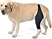 CiCixixi Hunde Kniebandage Hinterbein, Hunde Kniebandage, Hunde Hinterbein Bandage Hunde Klammer Hinterbein Hunde-Kniestütze für Hunde Klammer Hinterbein (L)