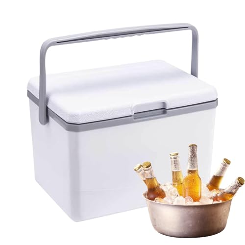Glacière de camping 5 L multifonctionnelle avec isolation thermique