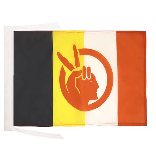 American Indian Movement Flag 18'' x 12'' cords - Native American tribe SMALL flags 30 x 45cm - Banner 18x12 in - AZ FLAG