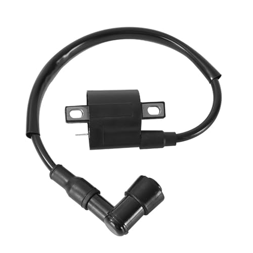 Shakas Motorcycle Ignition Coil, CG125 150 200 250cc High Voltage