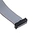 Antrader F/F IDC Connector 20 Pins Flat Ribbon Cable 2.54mm Pitch 30cm 6pcs