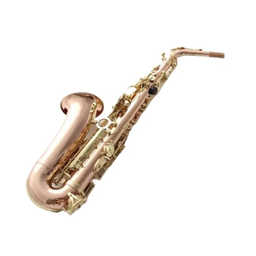 プロ仕様アルトサックス マウスピースとリードネックを備えたE管のプロ初心者向け大人用アルトサックス