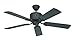 Produktbild CasaFan Eco Elements 132gr Haushaltslüfter 23W schwarz - Haushaltsventilatoren (schwarz, 23W, 110-240AC, 50/60,1320mm)