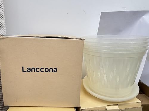 lanccona Orchid Pot, 8 Inch 4 Pack Orchid Pots with Holes and Saucers, Clear Plastic Orchid Pots
