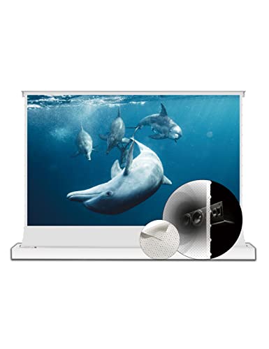 Vividstorm- Projector Screen Portable Folding Stand Floor Rising Movie Screen Sound Transparent Perforated All White Screen Compatible With Ordinary Projector,Vwsdstpwa120H #TOP13