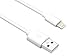 Axiom Memory Solution,Lc LGMUSBAMW03-AX Lightning to USB-A M/M Adapter Cable - White 3ft