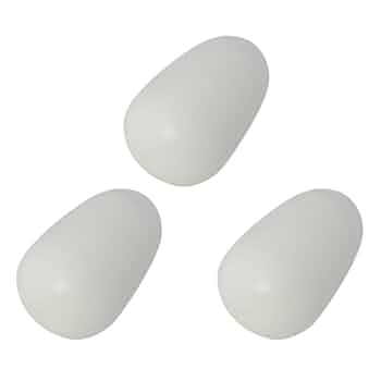 Amazon.co.jp: 偽卵 3個入り 約 20mm x 13mm 小鳥 インコ 鳩