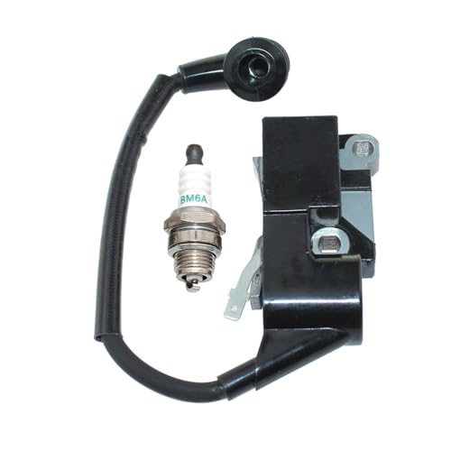 Bobina de Encendido 2501011AR compatible con GSH560 y MTH510 2