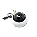 Speco Technologies Intensifier3 Super HAD CCD Indoor/Outdoor 4.3x Optical 16x Digital Network Surveillance Camera - Color, Mono HT7246H