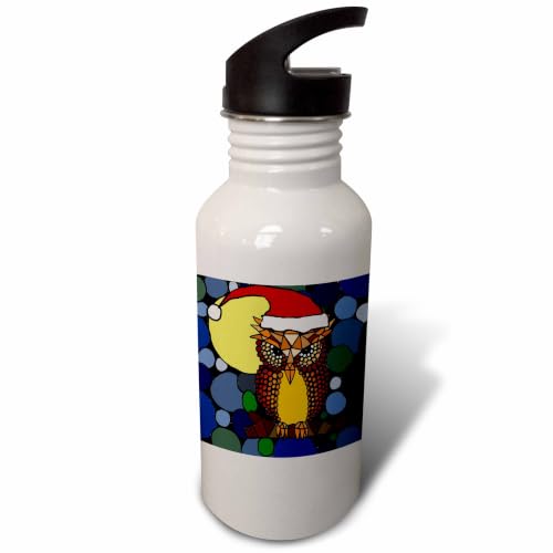 3dRose Christmas Owl Art Abstract Original-Sports Water Bottle, 21oz , 21 oz, Multicolor