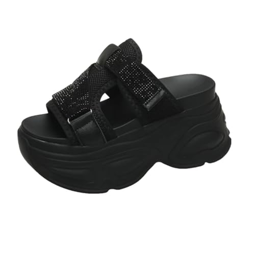 [`GOC] T_ fB[X ₷ Xbp  X|[cT_ LL  Ȃ y ɂȂ r[` C 8.5cm nCq[ EFbW\[ ubN r ʋ JWA   24.5 cm