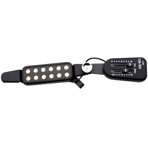 Abaodam M^[sbNAbv sbNAbvgXf[T }h EN 2ohsG] vAv M^[ Golden 