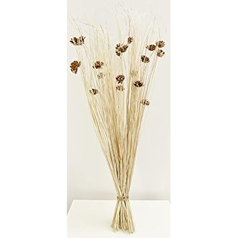 Cream Indian Ting Sheath Approx 95 cm Tall Free 20 Battery Operated LED Lights Perfect for Any Room All Year. No Batteries Included Cover