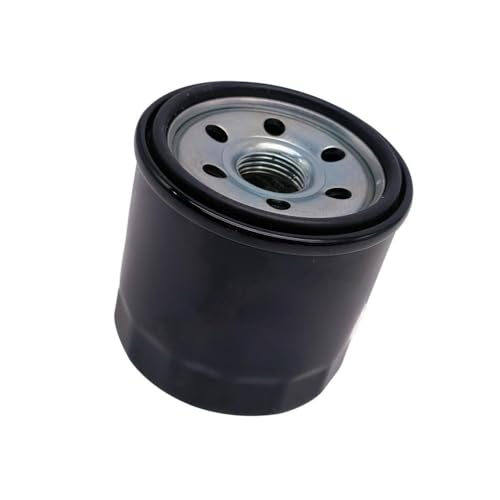 Filtre à huile pour Linhai ATV 700 et UTV M750 EFI référence 70196