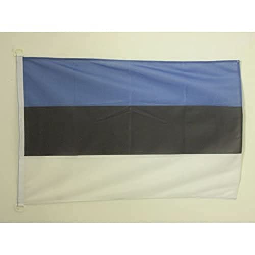 AZ FLAG, Estonia Flag, 2x3 Ft, For Outdoor, Estonian Banner Knitted Polyester with Two Plastic Rings, Fade Resistant