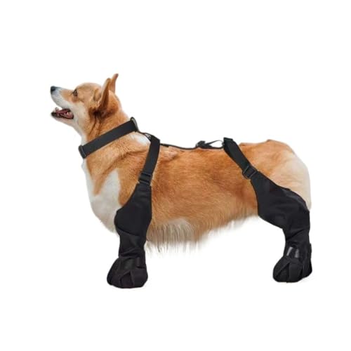 YYKSYDPT pu[cn[lX ߉\Ȍp֕t̖hƊ~ߐ̂錢pu[c ی삷邽߂̃ybg̉OU Ăܑ̏ɓKĂ܂ (XS)