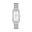 Silver Mesh Silver Mesh