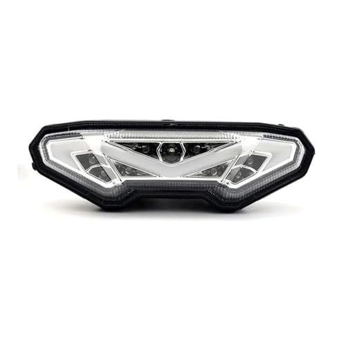 DUEYUU Blinker Zubehör Motorrad Brems Blinker für Signal Rücklicht Integrierte Für Yamaha MT09 Für Tracer 900/GT MT10 FZ09 FJ09 MT-10 FZ10 MT09(Transparent)