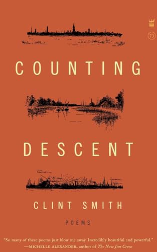 Counting Descent view 2