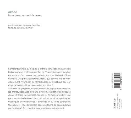 Arbor – vue 2