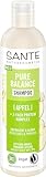 SANTE Naturkosmetik Pure Balance Shampoo Apfel - 250 ml - mit Apfel & 3-Fach Protein Komplex...
