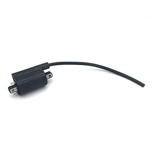 Bobina di accensione per Suzuki AC100 AS50 GT185