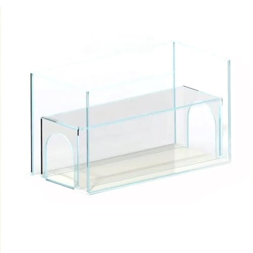 MegLob Lp̑傫ȋ^NAfbNXL̃xbhA@\L̑̐AL̉Ƃ̐ك^NA؂ȔL̂ᐅفAv^KXL̉,B