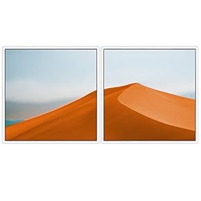 signwin 2 Piece Framed Canvas Wall Art Natural...