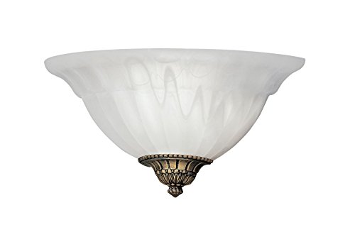 Designers Fountain 6021-Ast 1-Light Wall Sconce With Frosted Glass, Bronze , White #TOP9