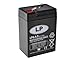 Produktbild LP BATTERIES NSA LP6-4.5 T1 6V 4,5AH AGM Akku Vlies Batterie VRLA Zyklenfest Wartungsfrei für Elektro Spielzeug Alarm Brandmeldeanlage Notstrom USV UPS