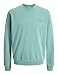 JACK & JONES Jjearchive Graphic Sweat Crew Neck Noos