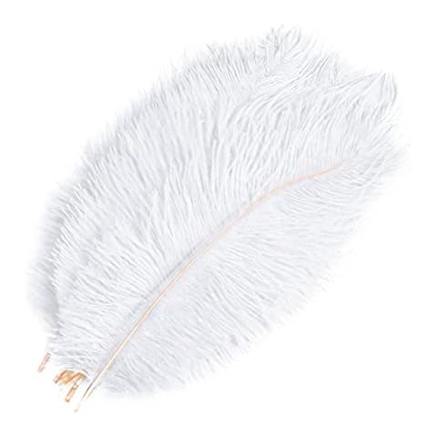 HQdeal 10Pcs Natural Ostrich Feathers, 7.87"-10"/20cm-25cm, DIY Plume Feather for Home Wedding Party Table Decoration (White) Cover