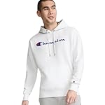 Champion Men's Fleece Script Logo Hoodie (Reg. Or Big & Tall)