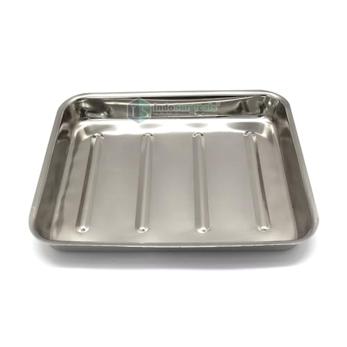 Image of IS IndoSurgicals Stainless Steel Instrument Tray with Cover, Deluxe Quality (2, 14 inchX10 inchX2 inch)