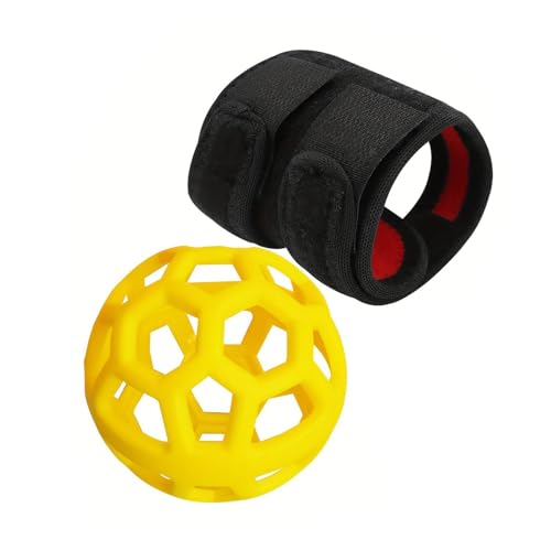 DISPRA �S���t�X�C���O�g���[�i�[�{�[�� - �|�[�^�u���S���t���K�{�[�� | �S���t�X�C���O���K �g���[�j���O�⏕ �S���t��� | �S���t�X�C���O�p�������� | �S���t���K��� ���f�B�[�X �����Y ���S�Ҍ���